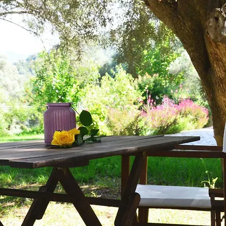 House Elivia Holiday home