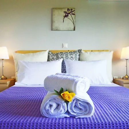 House Elivia Holiday home *
